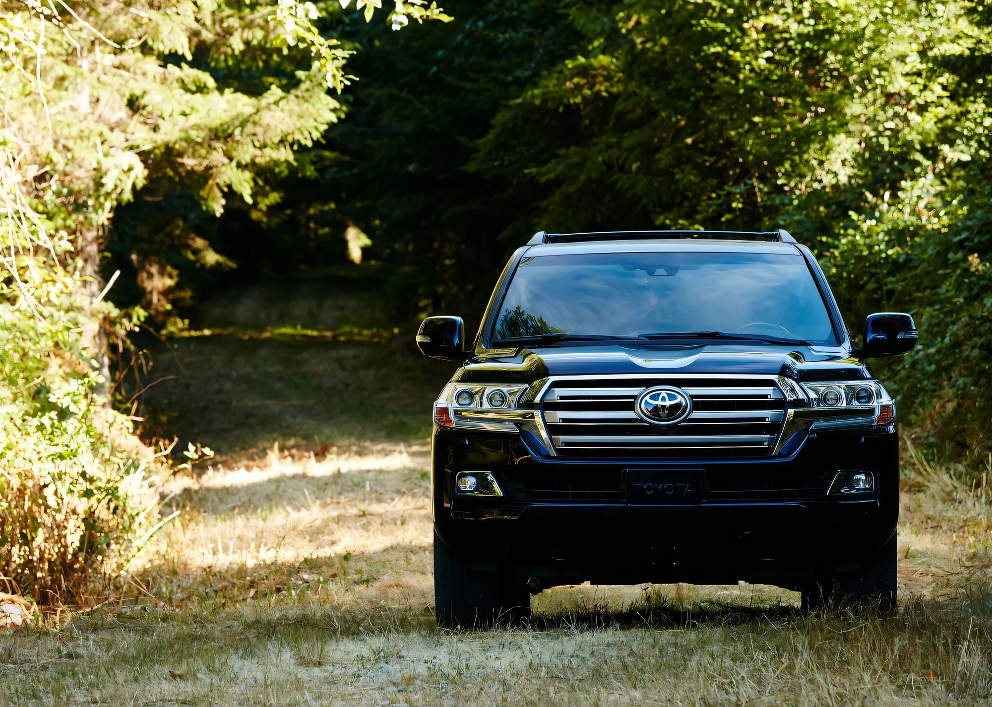 Land Cruiser 200 Series (2016)